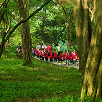 ����Ļ��������