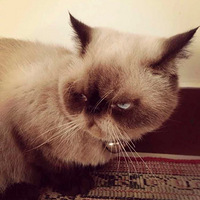 ɹɹ�Ҽҵ������ˡ�