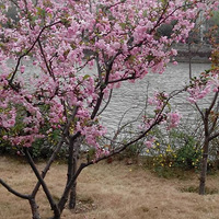 ��С��·��