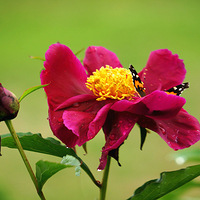 Ѱ���ټ���5��