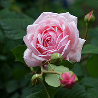 Ѱ���ټ���6��