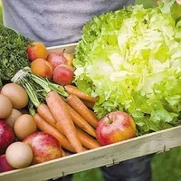 �л����·�����ũҵ?no,������ˣ�