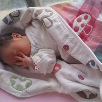 ������Ģ������