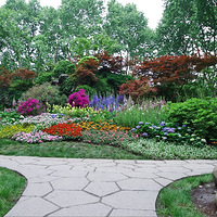 ������ʻ���ɫ�ʰ��