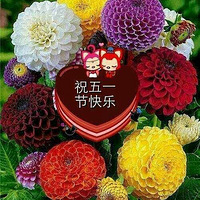 ף��ҽ��տ���!�Ͷ������!