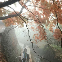 ���ȣ��ļ��裨1��