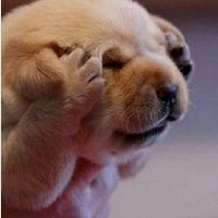 ٵˣٵûˣˣå