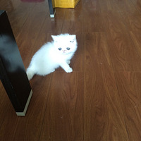 ��˵������û�ɺ��°� ��������������