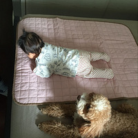 �а��ռ�--С����2016��1��15�ճ���5��6��