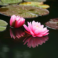 ���桢������˯��