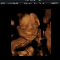 ���ǣ����������ڡ����������ǡ�������ά�ʳ���Ƭ~