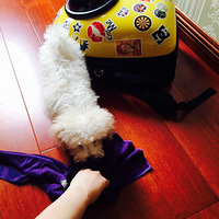 �ϸ��ض��֣�ֱ�Ӹ��㷢������̫��ȥ���ߺ�