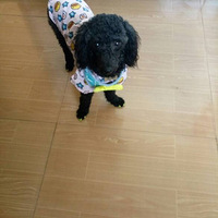 ֪���Լ�����˧�˵㣬��ؼҾͺ���װ����