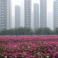 �������λõĻ���