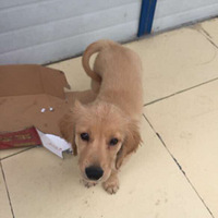 ��л19¥����������