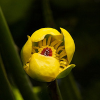 ���ĵ�Ƽ��ݻ�