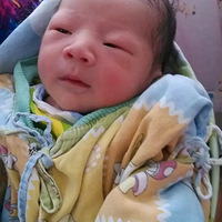 ��ɹ��̥��ʨ�����ܵ������������