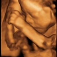 �����ӣ��������Լ��9�¼���~