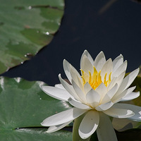 ���ĵ�˯��