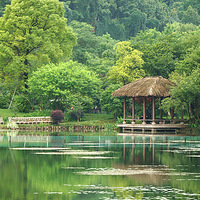 ������ �� ����