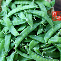 �������ҳ�������Ѭ����������