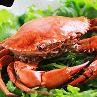 �и���Ӥ��Ӧ�����ٳ�з��з�࣡