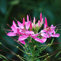 ����������