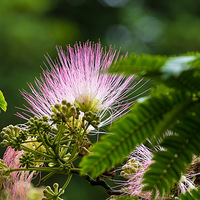 �ϻ��������Զ����