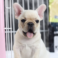 �Լ��ҵı�����