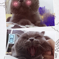 ǿ�����ȵĺ��