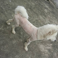 �������ĦҮ���˺ü������ˣ������廹��ѧ