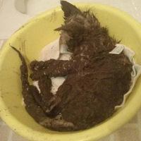 ���������ţ������������˶����������ʲô�仯��