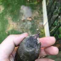 С�����괺��񵽵Ļ����ܺ���