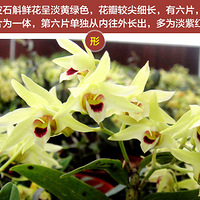 �������ա���һ��ʯ�����裬��һ��ķҷ���