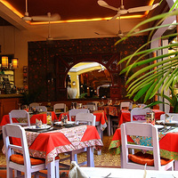 ����կ����ʳ