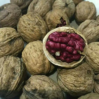 �����ĺ�Ƥ���ң��������Ψһ��ֻ���½���