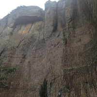 ̨��������