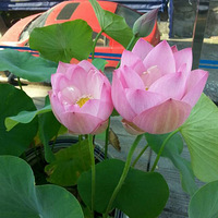 �߾�-��֮��