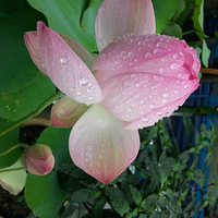 �߾�-��֮��