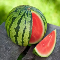 6��ˮ������Ȼ��ɹ˪���ļ�Ҳ�ܵ��׸���