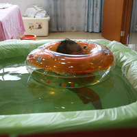 ȥ����鿴������ϴ����~ �����Ķ��Ȼ���