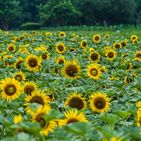 �������������