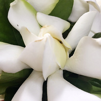 ��ʶ����ʲô���𣿴����ӻ� ����