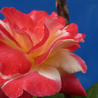 �ɻ����ӿ�����