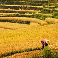 �Aһ��ˬˬ�ļ����ֹ����棡