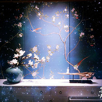 ���¸�����Ů���������