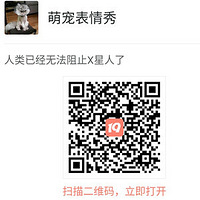 �������������о�����ɹɹ��ҳ���Ķ���˲�䣬����������