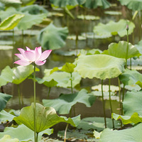 #���¸�����#��������ü�ң��������������Ů��