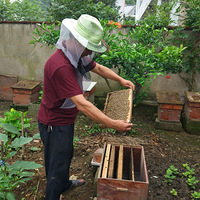 �²��ĸ��Ƿ���