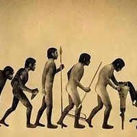 ����أ���������ε����ģ�����